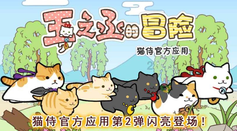 空腹有氧与饭后有氧到底哪个减脂效果好? - 真实、有趣的社区讨论平台